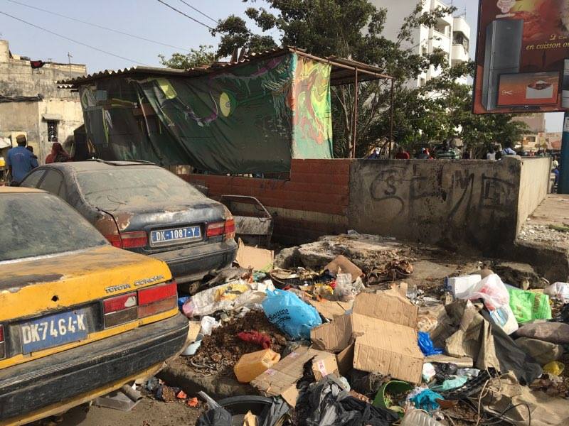 13393419_10206720680071889_738986663_n