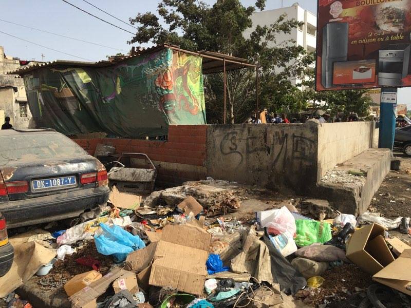 13401182_10206720680391897_564220190_n