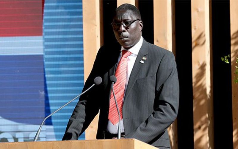 Absence de Yaya Jameh au sommet de la Cedeao: La remarque qu’il ne fallait pas faire