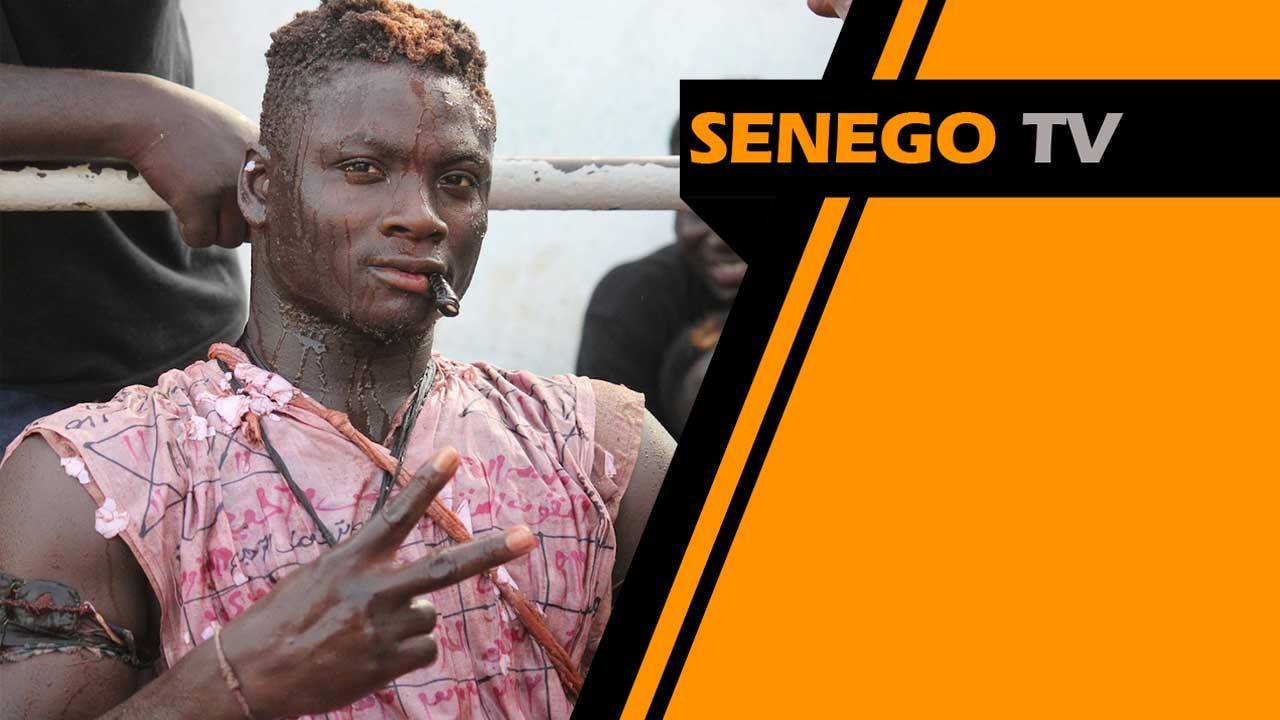 Vidéo: Ndongo Lô domine Petit Niang. Regardez