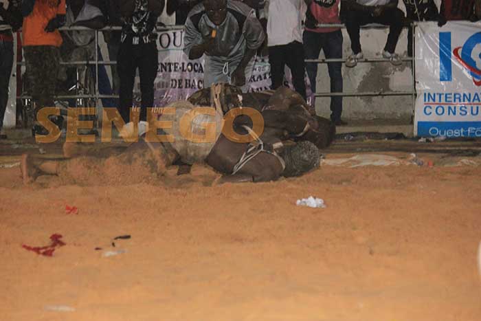 Ndonko Lo bat Petit Niang (9)