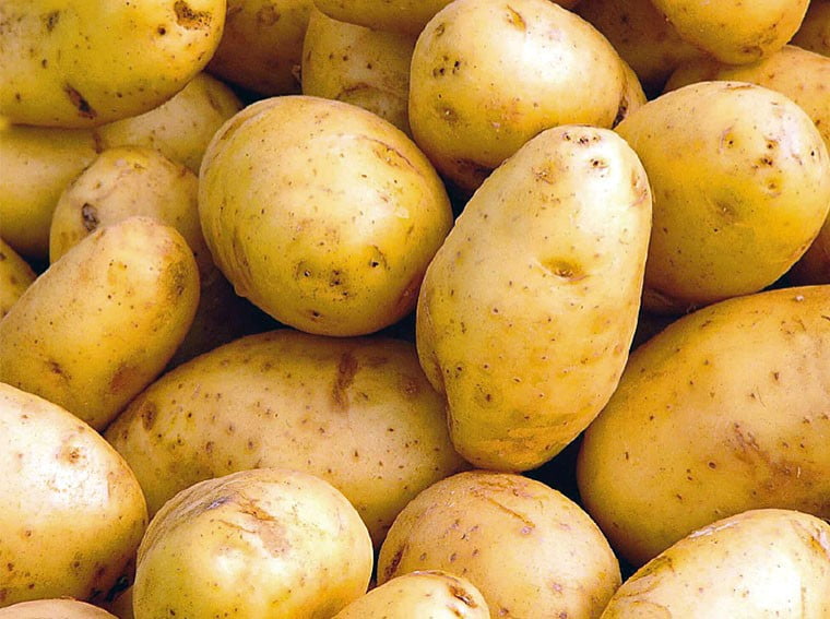 Le gel des importations de la pomme de terre levé lundi