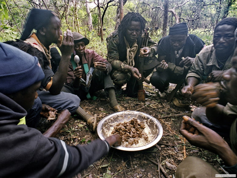 Casamance: Le Mouvement des Forces Démocratiques menace les « coupeurs » de bois