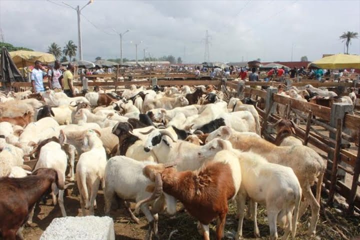 Les besoins en moutons pour la Tabaski 2016, estimés à 750.000 têtes