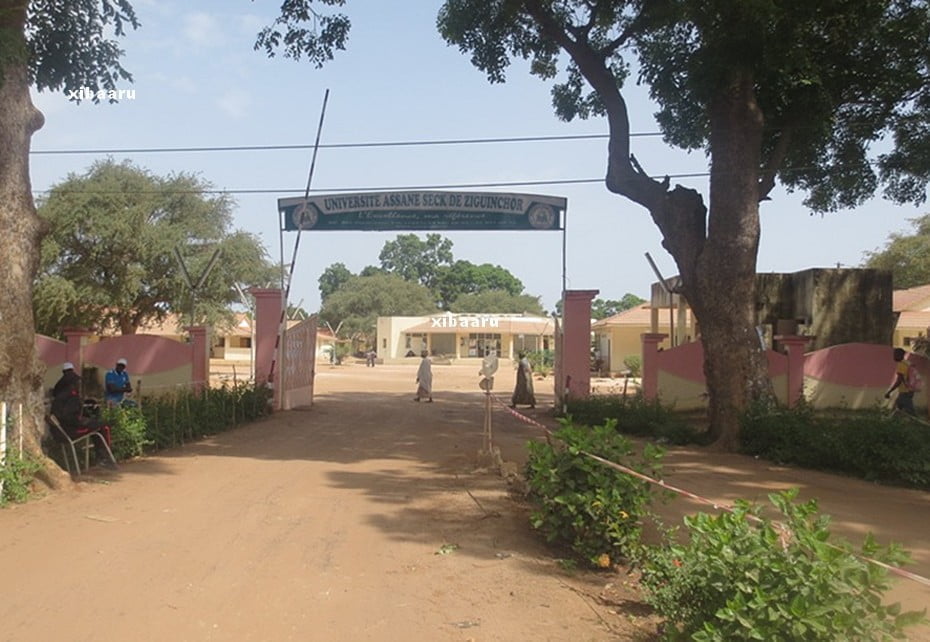Université Assane Seck : La médiation qui a permis d’amorcer la crise…