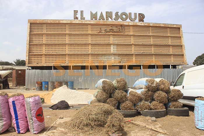 cinéma el mansour (2)