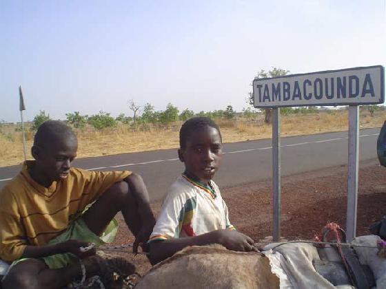 Tambacounda abrite un mini-sommet des droits de l’enfant