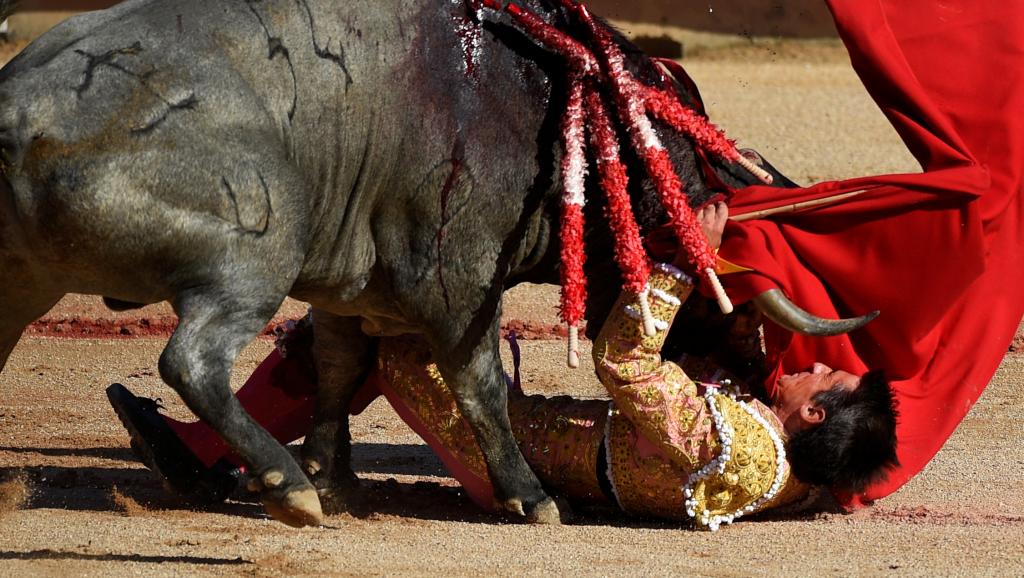 Un taureau de 500kg tue d’un coup de corne le torero, Victor Barrio
