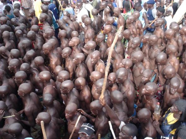 Urgent: la foudre tue 4 initiés dans le Bois Sacré de la Casamance
