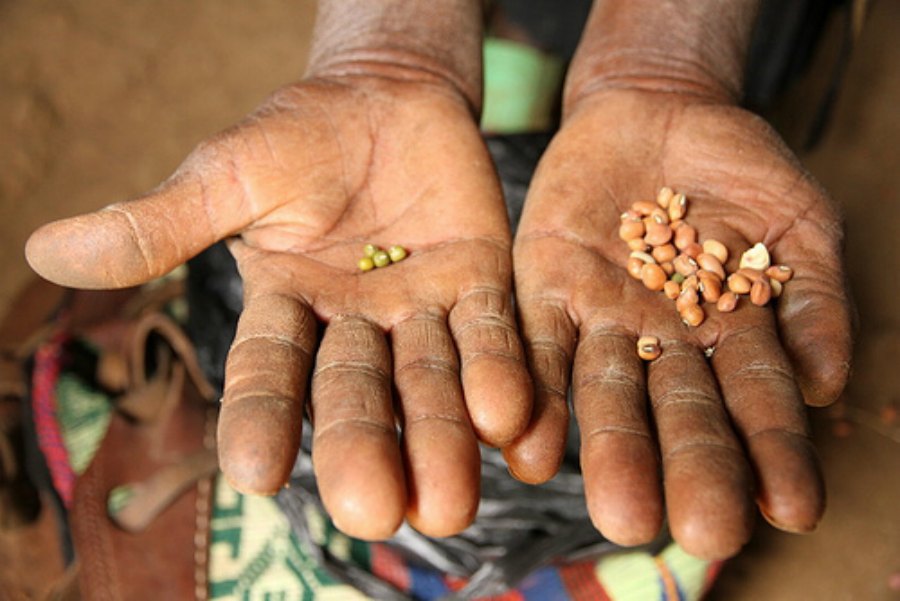 Famine : le PAM lance un appel d’urgence pour le Mali