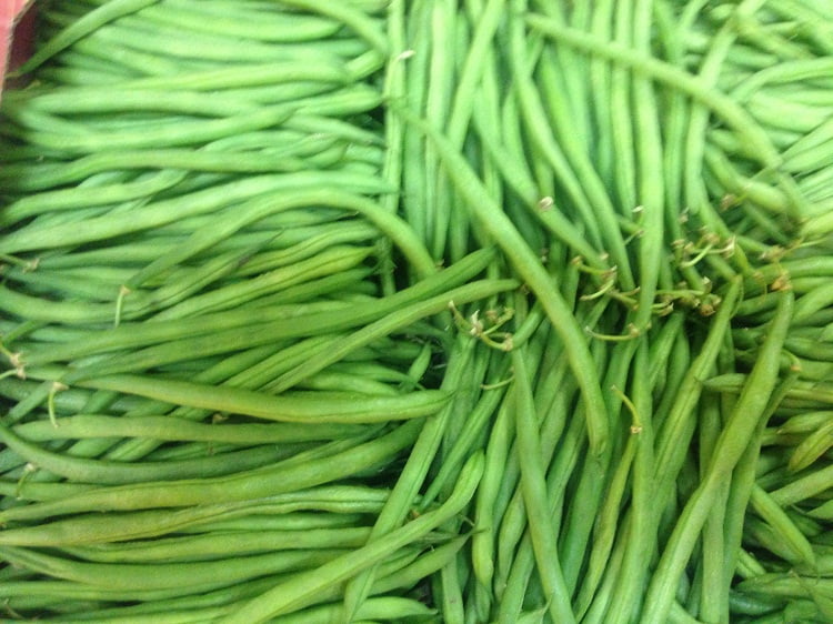 L’ANIDA a exporté 180 tonnes de haricots en 2016