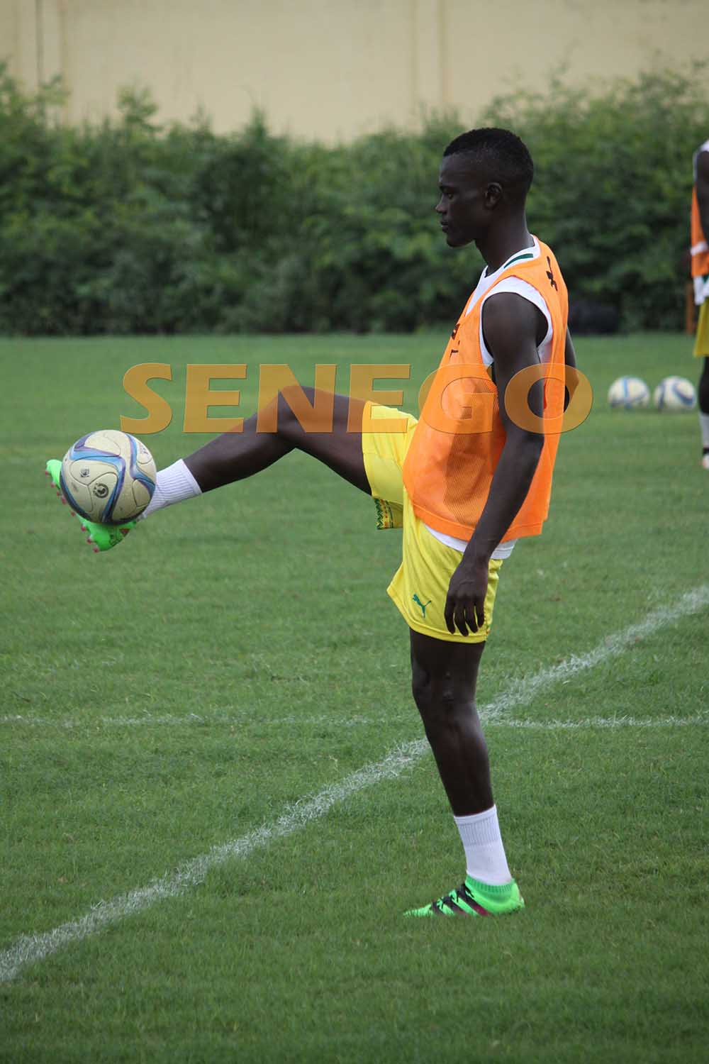 IMG_7807