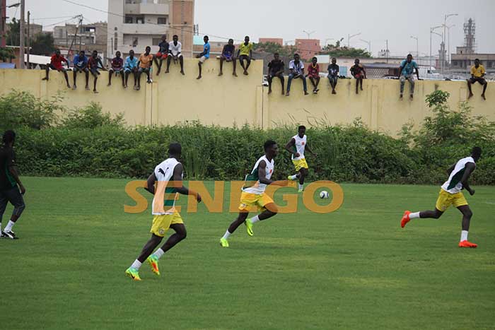 Lions du Sénégal (10)