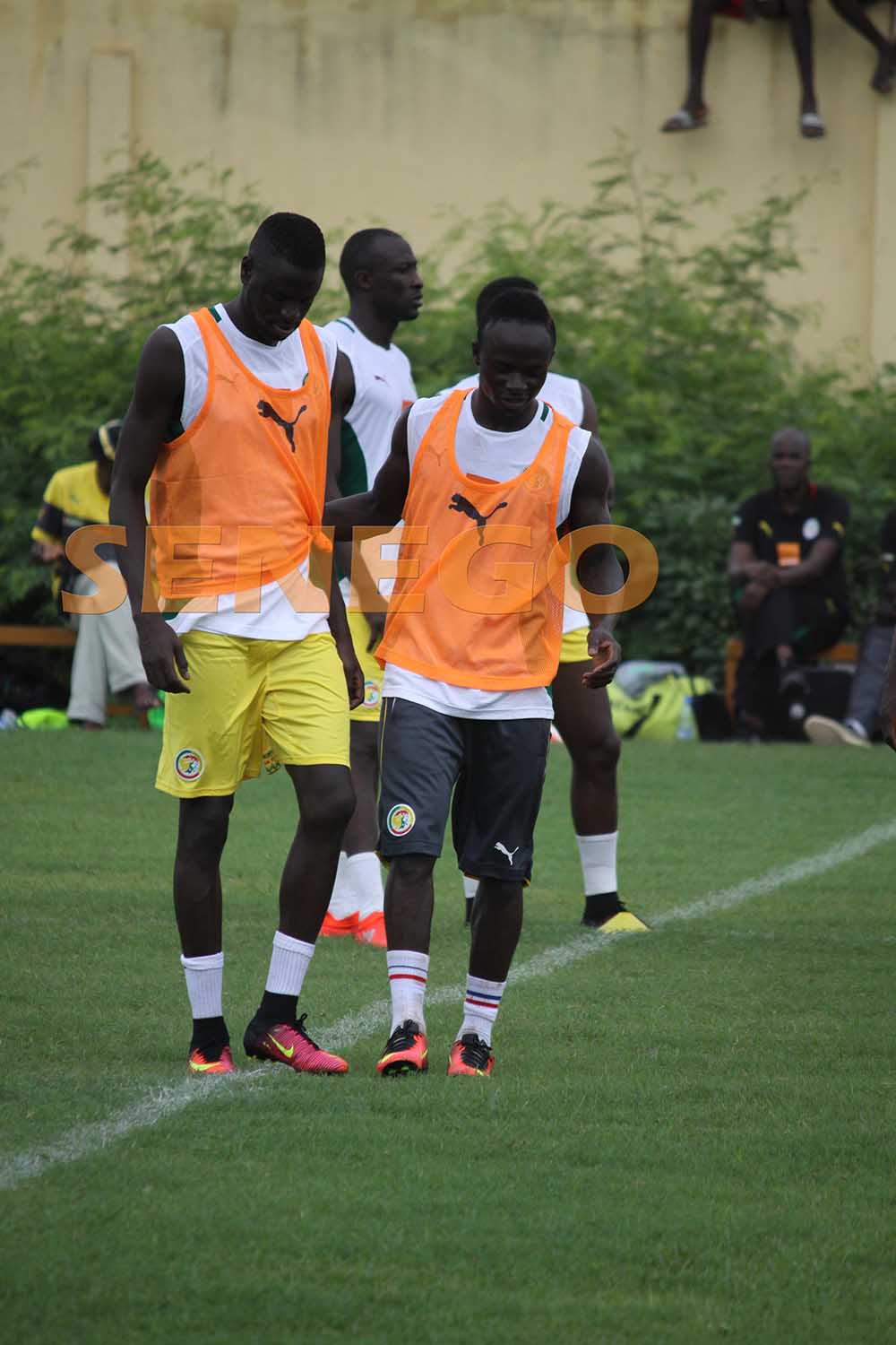 Lions du Sénégal (12)