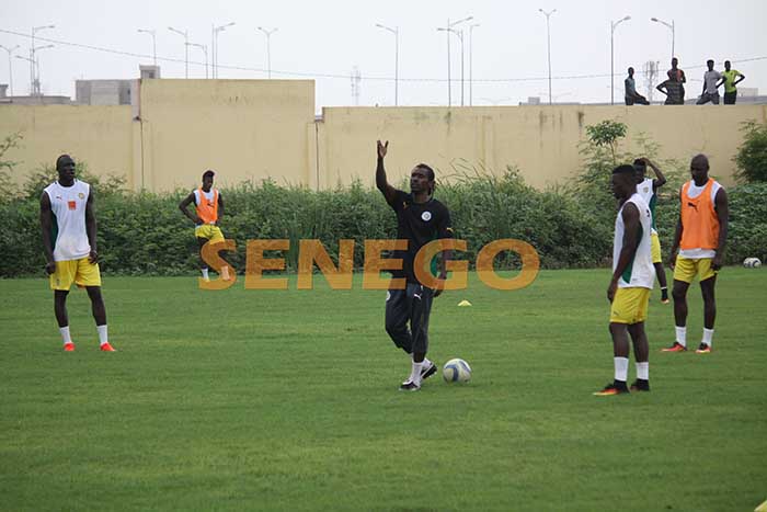 Lions du Sénégal (4)