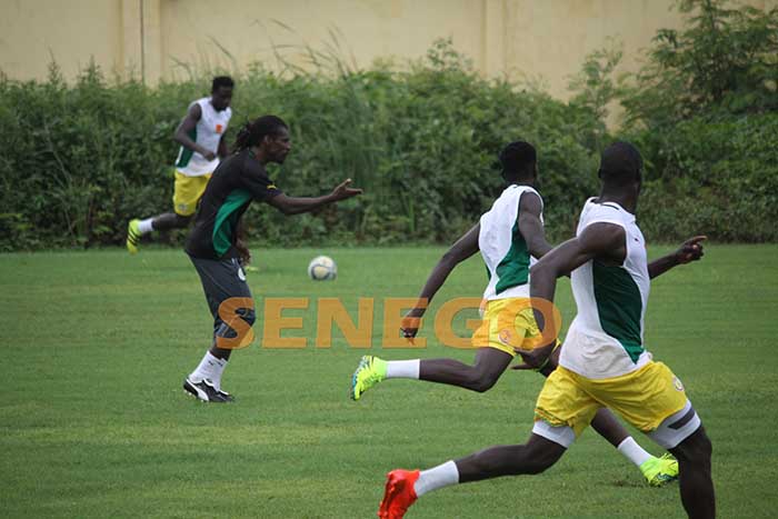 Lions du Sénégal (9)
