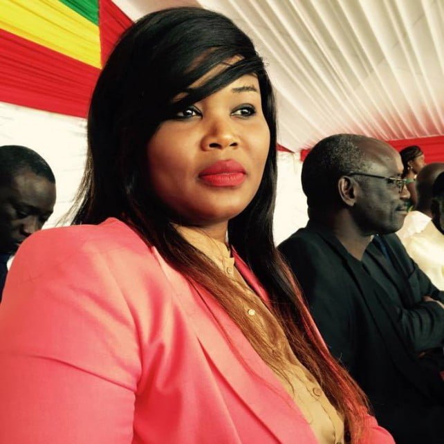 « Vote des membres du Hcct ou une promenade de Bby à Dakar ! », Par Fatoumata Niang Bâ