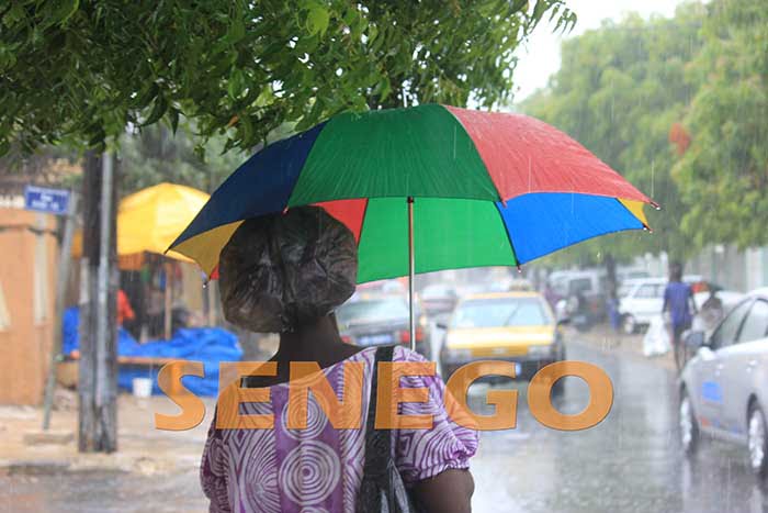 pluie (4)