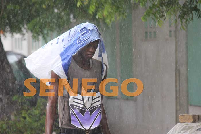 pluie (6)