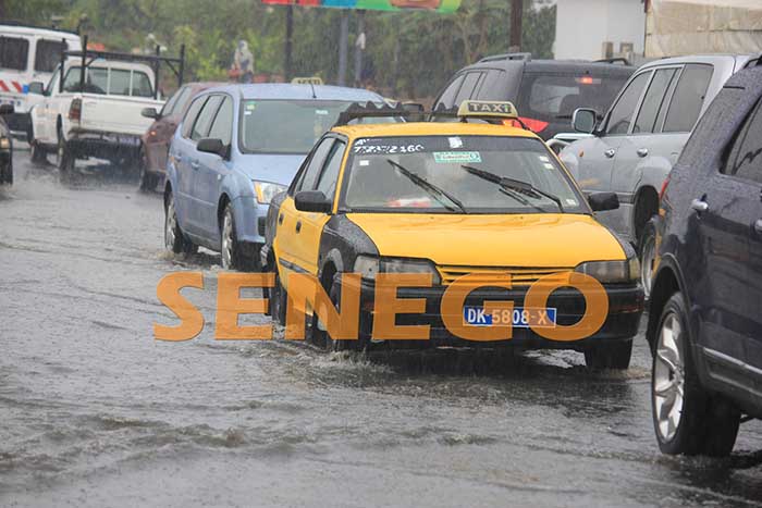 pluie (9)