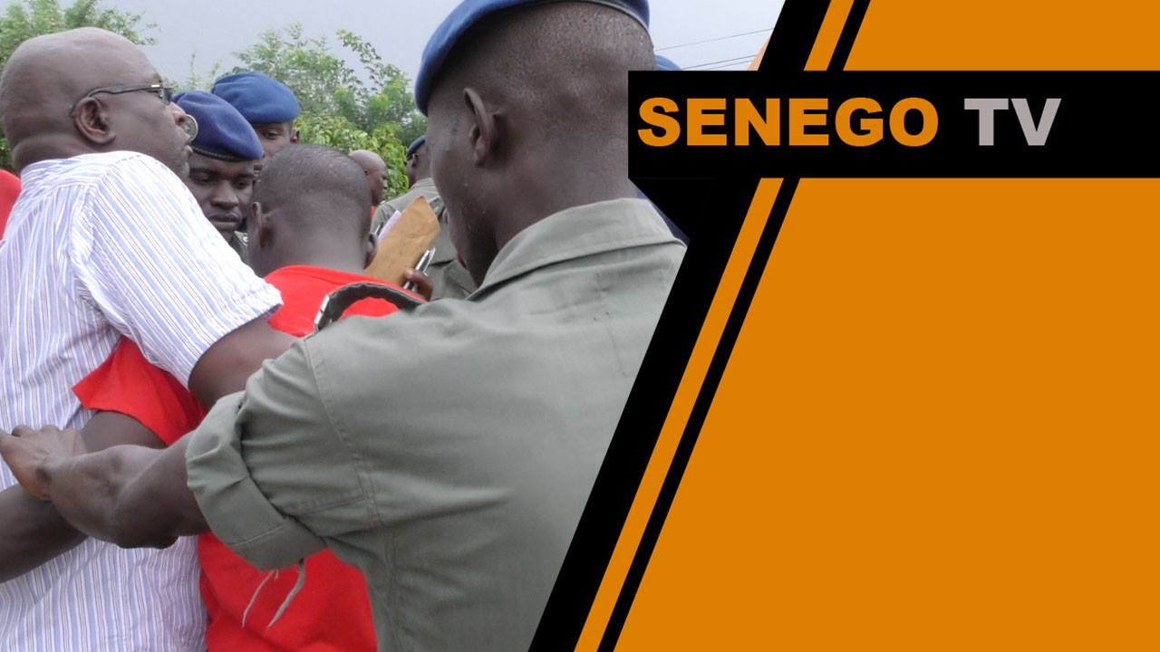 Senego Tv: les travailleurs de Senegal Airlines malmenés dont deux arrêtés. Regardez
