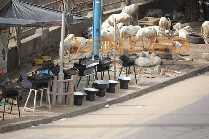 Arrêt sur image:  Tabaski approche, moutons et barbecues se côtoient. Regardez