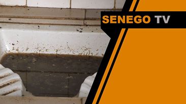 Senego Tv : 6 blocs toilettes, branchement à l’égout, bibliothèque : Adama Faye à la rescousse du Cem Grand Yoff