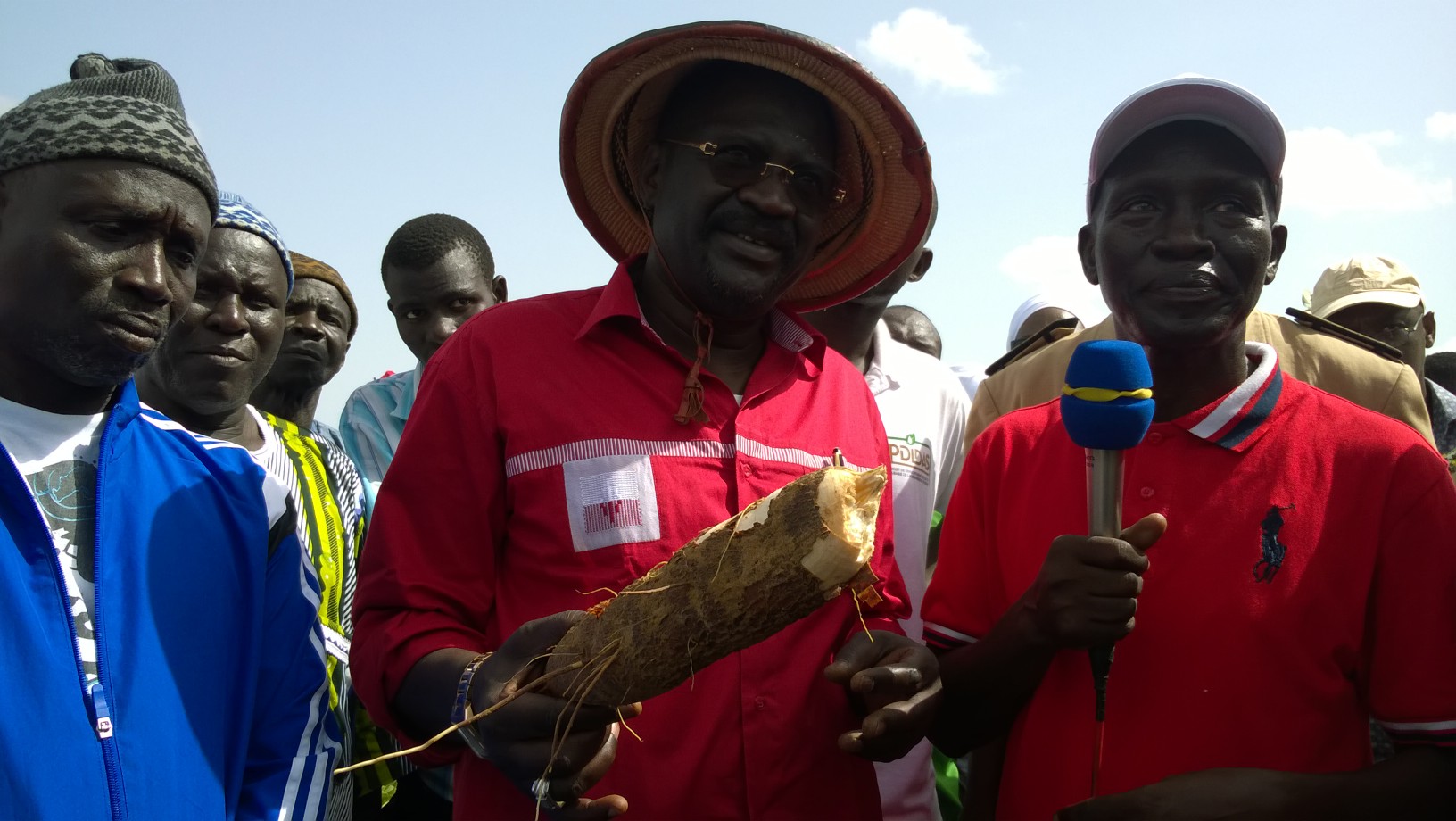 Manioc : 13 mille ha à emblaver, plus de 500 mille tonnes attendues