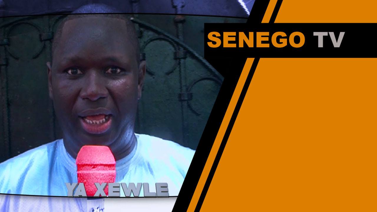Senego TV: Découvrez la nouvelle émission de Salam Diallo sur la Tfm