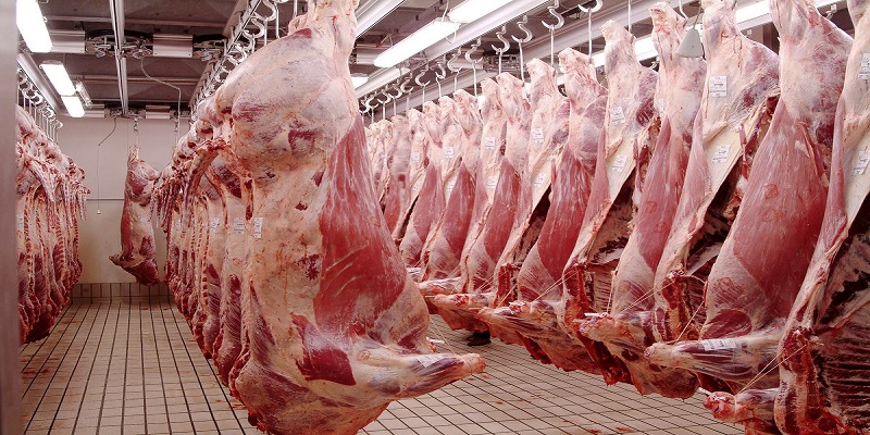 La production de viande et d’abats au Sénégal estimée à 214.000 tonnes en 2015