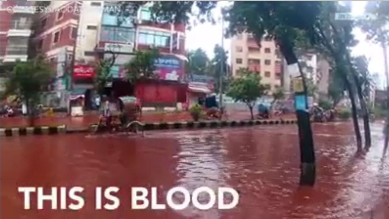 Vidéo – Insolite : Une rivière de sang arpente les rues de Bangladesh ! Regardez !