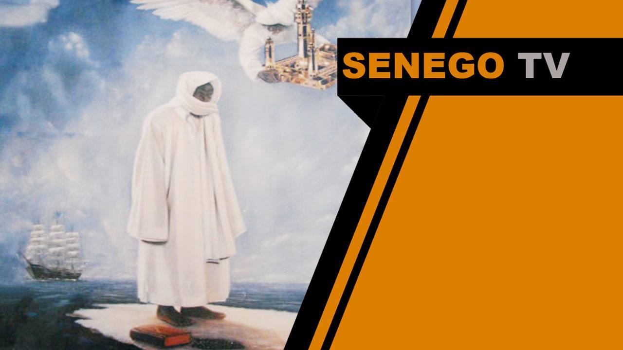 Senego Tv: Niari rakka: témoignage inédit d’un blanc sur l’oeuvre de Bamba. Regardez!
