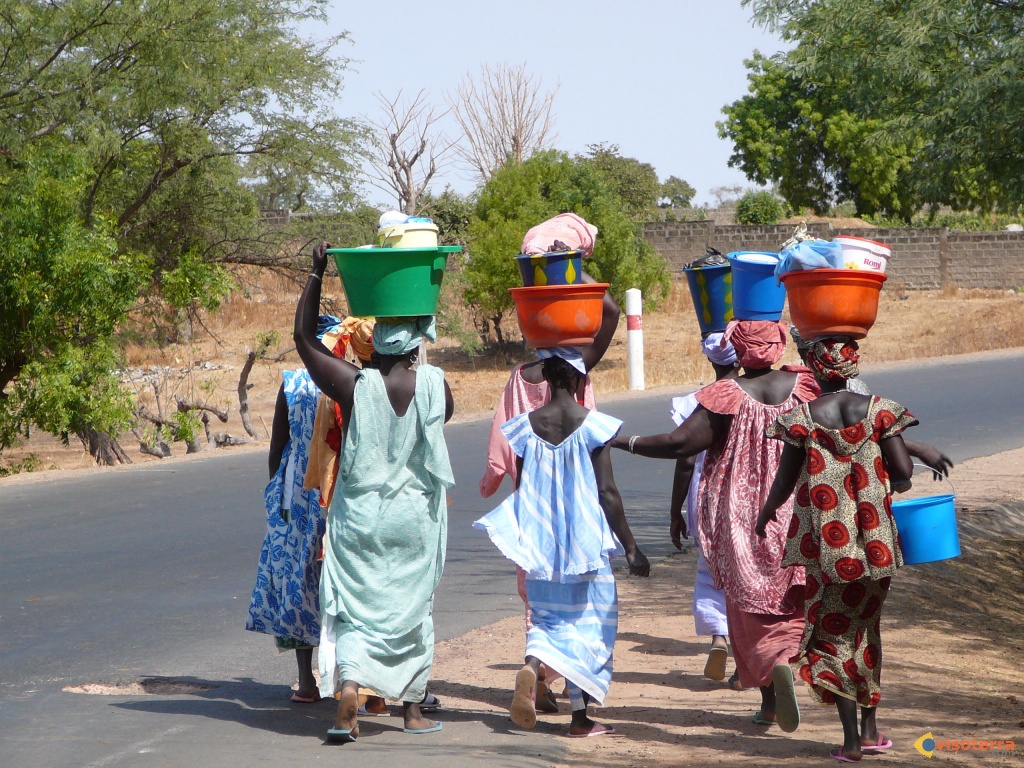 L’analphabétisme serait un frein à l’émergence du Sénégal