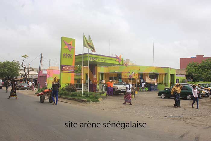 site-arene-senegalaise-3