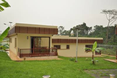42595102