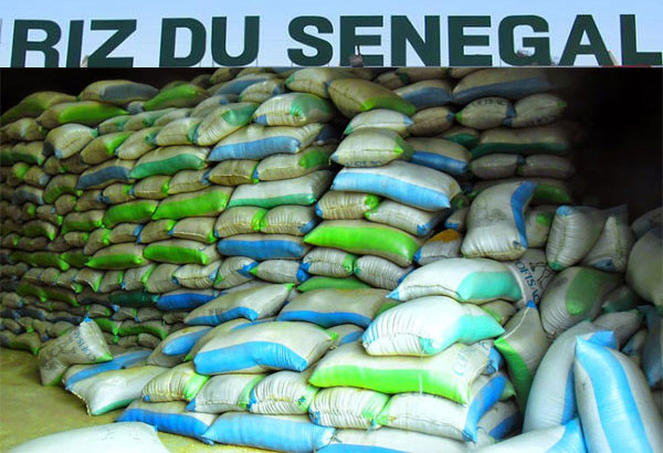 Macky Sall demande la mise en place d’un label Riz du Sénégal