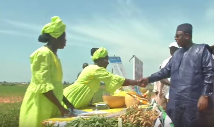 Vidéo : Macky veut une «discrimination positive» pour les femmes dans la distribution des intrants agricoles – Regardez.