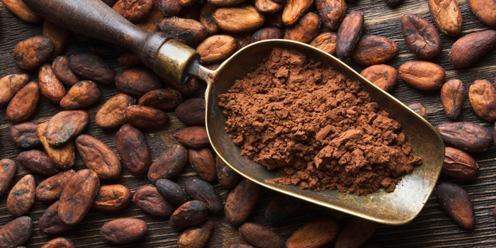 Côte d’Ivoire: Création d’une « Université exclusivement dédiée au cacao et au chocolat »