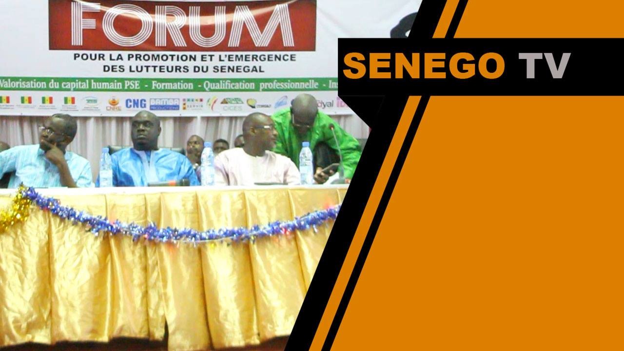 Senego TV: Ces réponses au chômage des lutteurs…