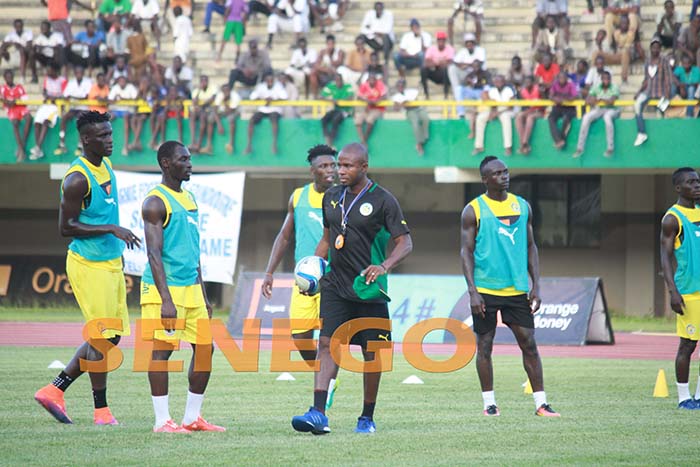 lions-senegal-11