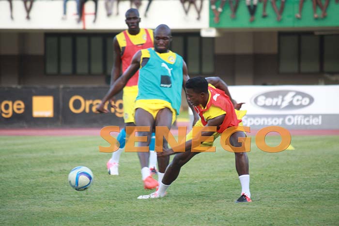 lions-senegal-13