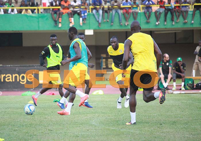 lions-senegal-14