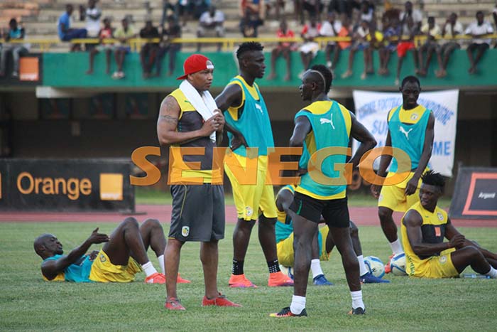 lions-senegal-17