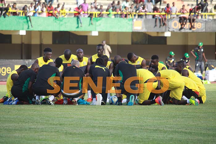 lions-senegal-2