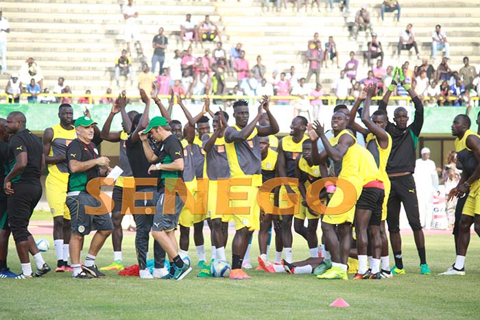 lions-senegal-3