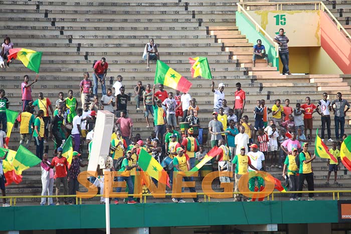 lions-senegal-6