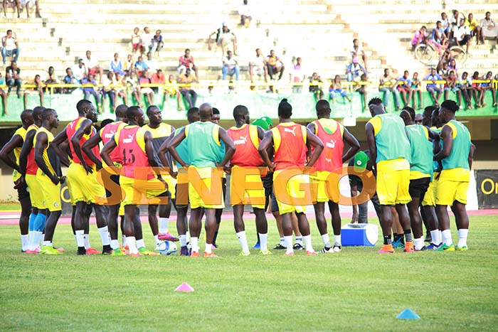 lions-senegal-7