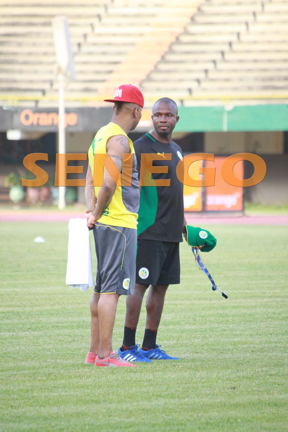 lions-senegal-9