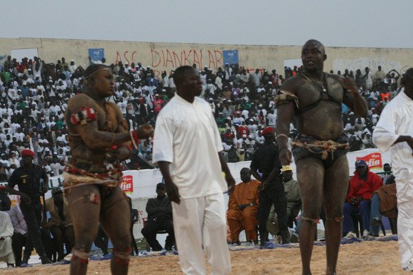 Exclusif-Lutte: Pape Abdou Fall signe Modou Lô/Lac de Guiers 2 pour la fin de la saison