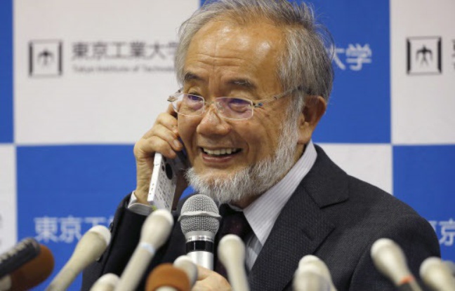 Prix Nobel de médecine : Yoshinori Ohsumi, un parcours hors des sentiers battus